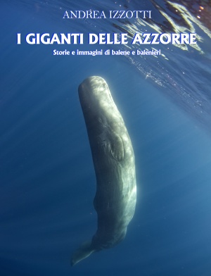 I giganti delle Azzorre - Storie e immagini di balene e balenieri