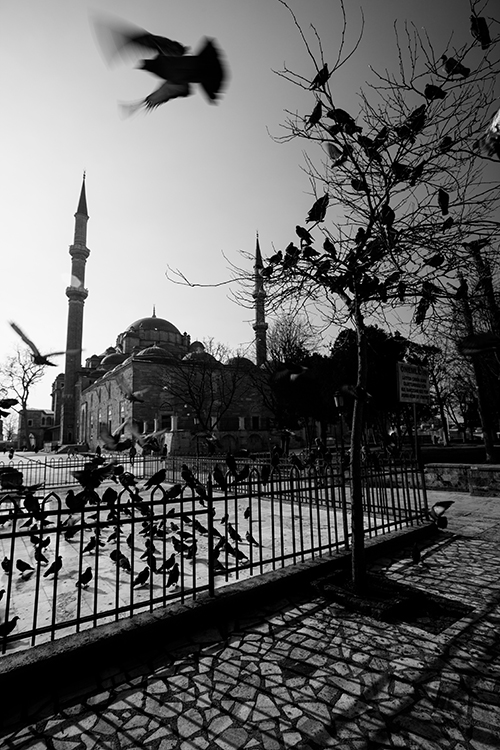 ISTANBUL  04/2014 - Orhan Pamuk, Ara Guller, John Ruskin.
