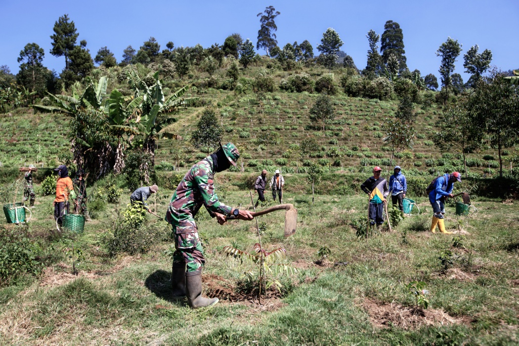 Tarumaya Village, Bandung Regency, West Jawa, Indonesia, 2019  - Il programma di riforestazione dell'Esercito consiste nel ripiantumare le colline che circondano il lago Cisanti, da cui nasce il fiume Citarum, per combattere l'erosione e stimolare l'economia introducendo la coltivazione del caffè. Coltivazione a terrazze, piantagione di alberi coltivati ​​nel vivaio e educazione ambientale sono le ambizioni del programma.