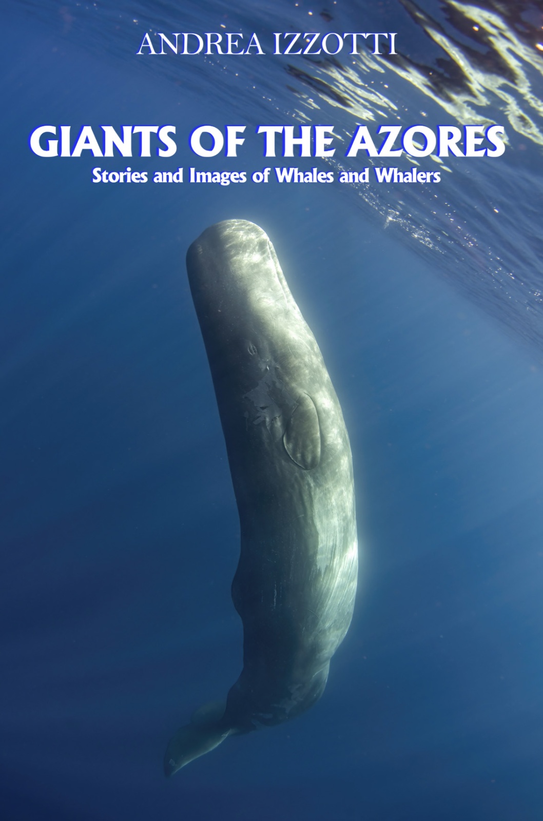Giants of the Azores: Stories and Images of Whales and Whalers