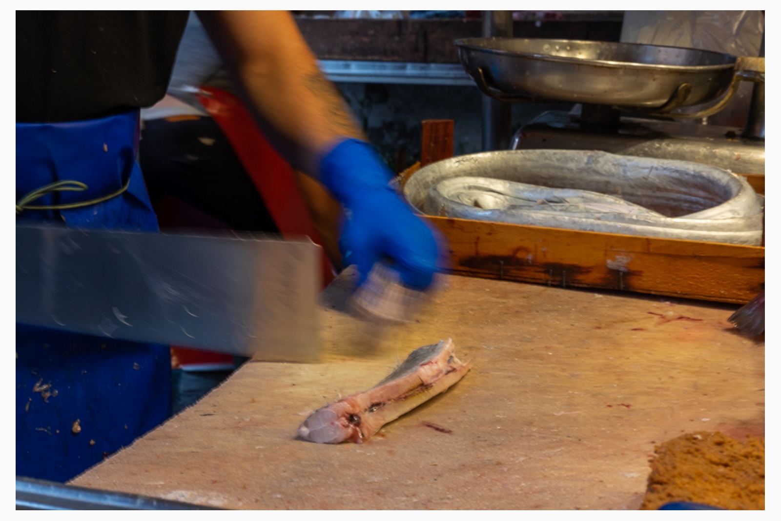 Cutting paddlefish cutlets - A pleasure for the eyes and the palace, the paddelfish is a protagonist of the fish market stalls.